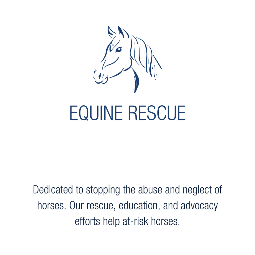 equine rescue services for abandoned or neglected horses in rincon puerto rico