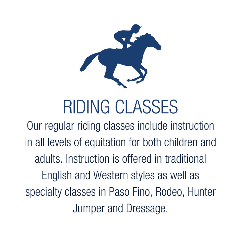 horseback riding lessons classes for all ages rincon puerto rico