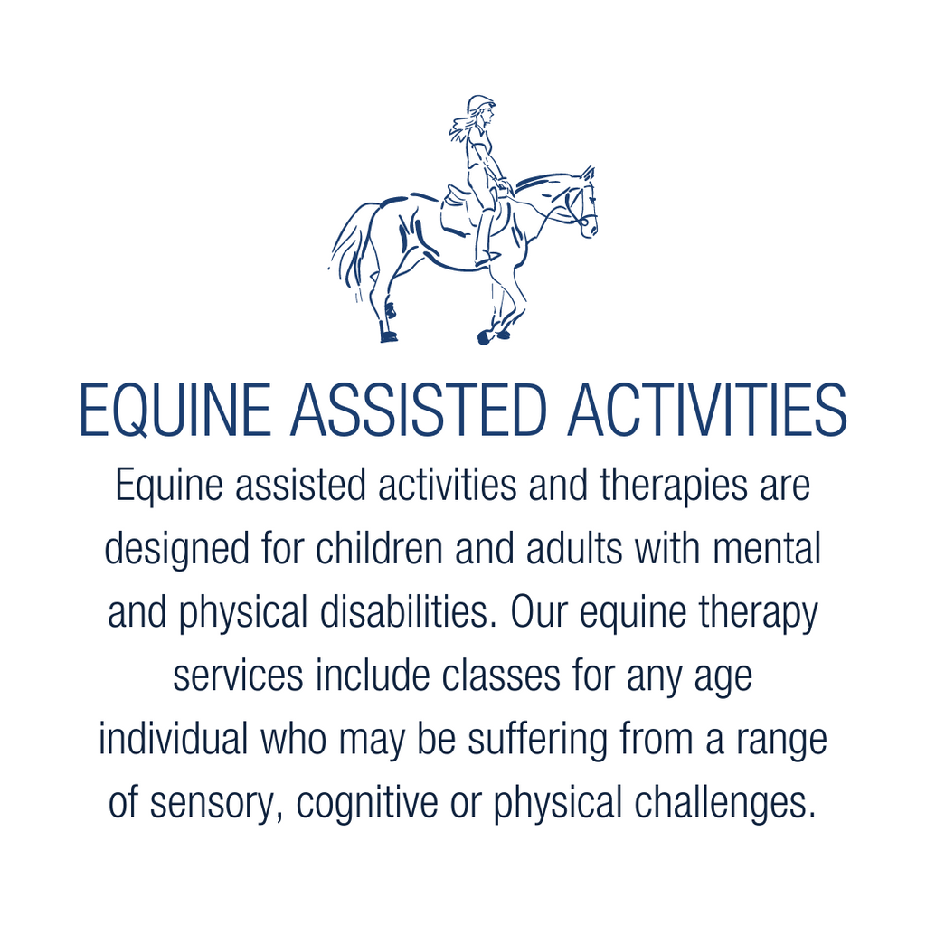 equinoterapia bilingual equine therapy for children and adults with mental and physical disabilities in Rincon Puerto Rico